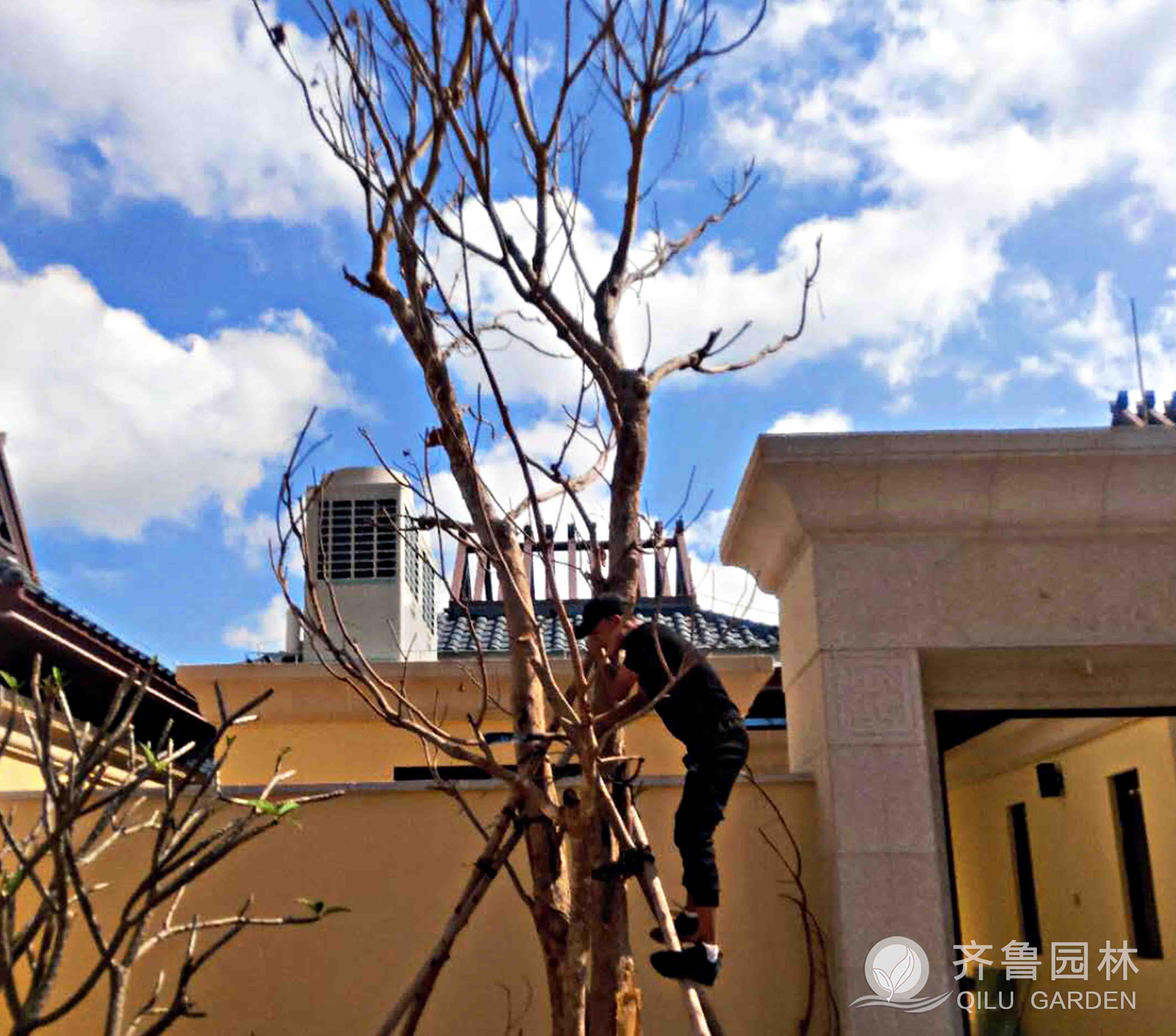 EBET易博·(中国区)官方网站