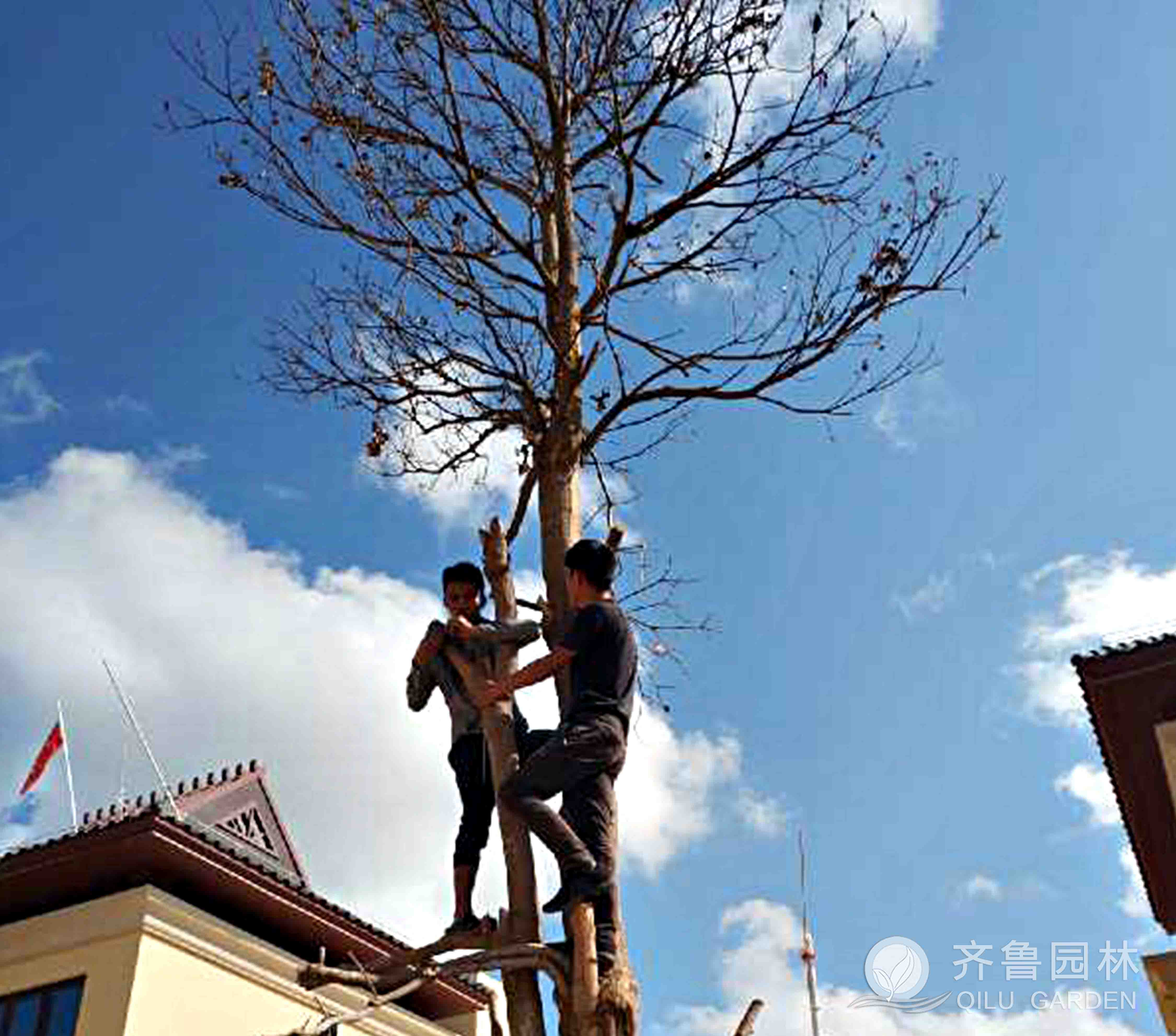 EBET易博·(中国区)官方网站