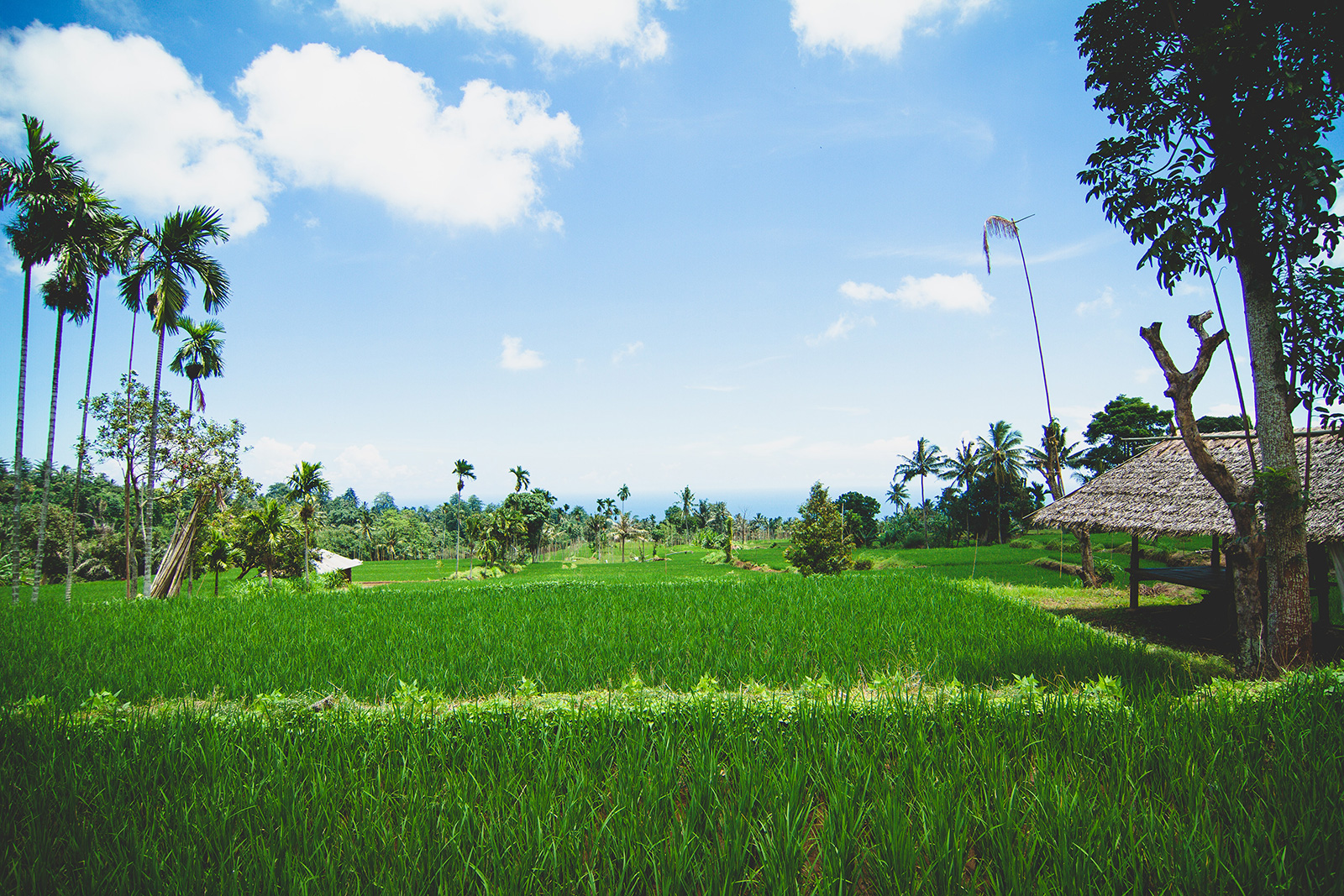 EBET易博·(中国区)官方网站