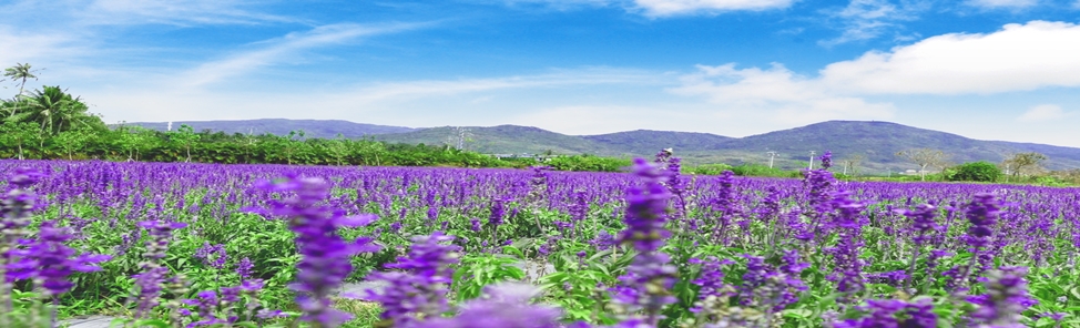 EBET易博·(中国区)官方网站